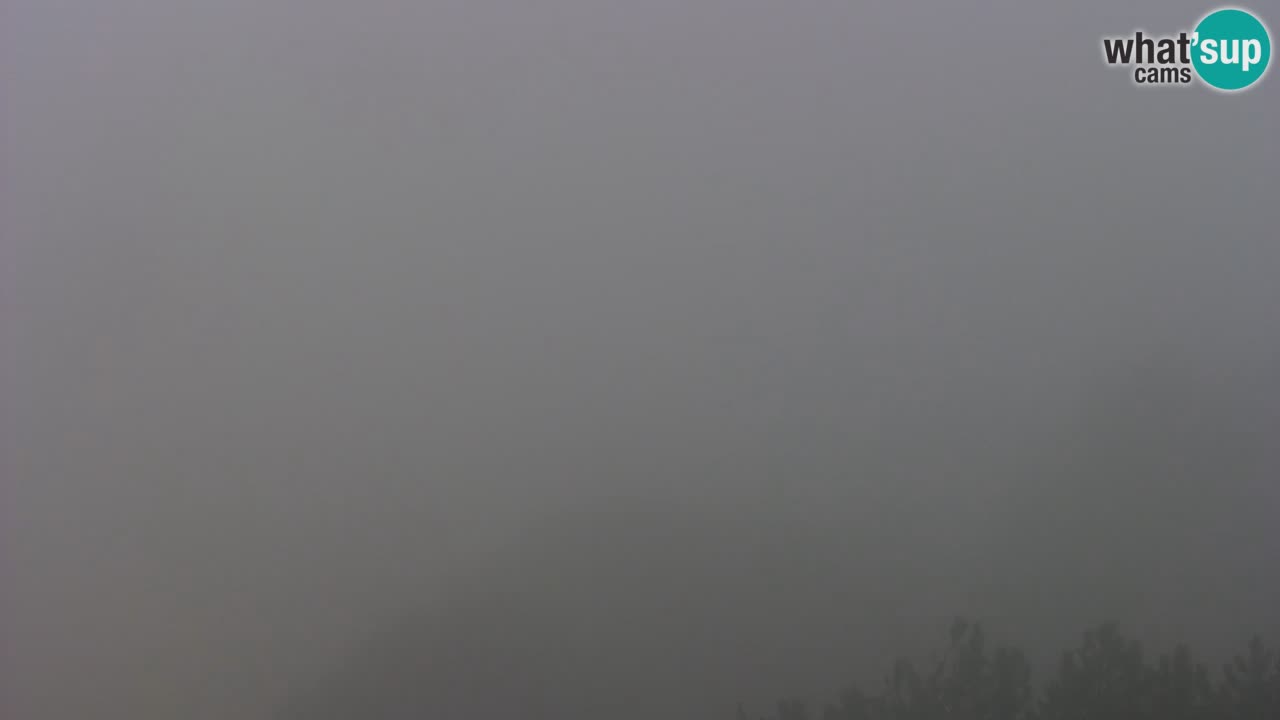 Live Webcam Bibione Strand – Blick vom Ashanti ApartHotel