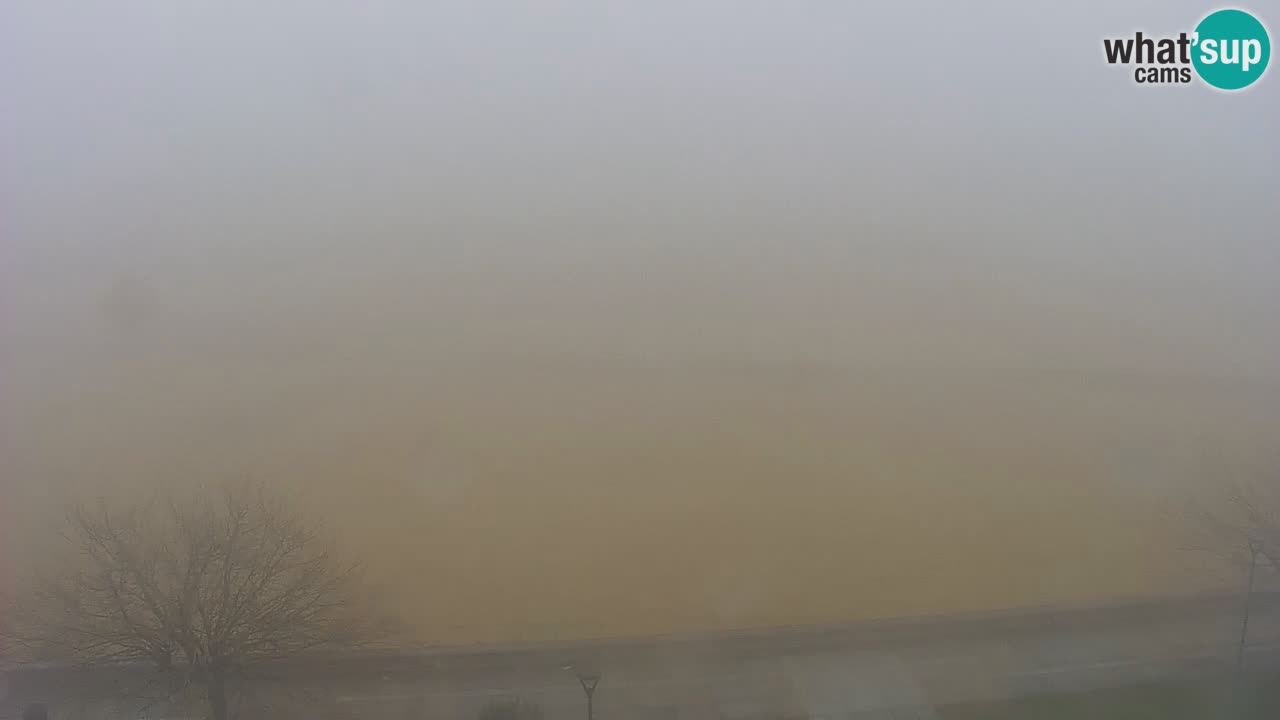 Webcam en vivo playa Bibione – vista desde Ashanti ApartHotel