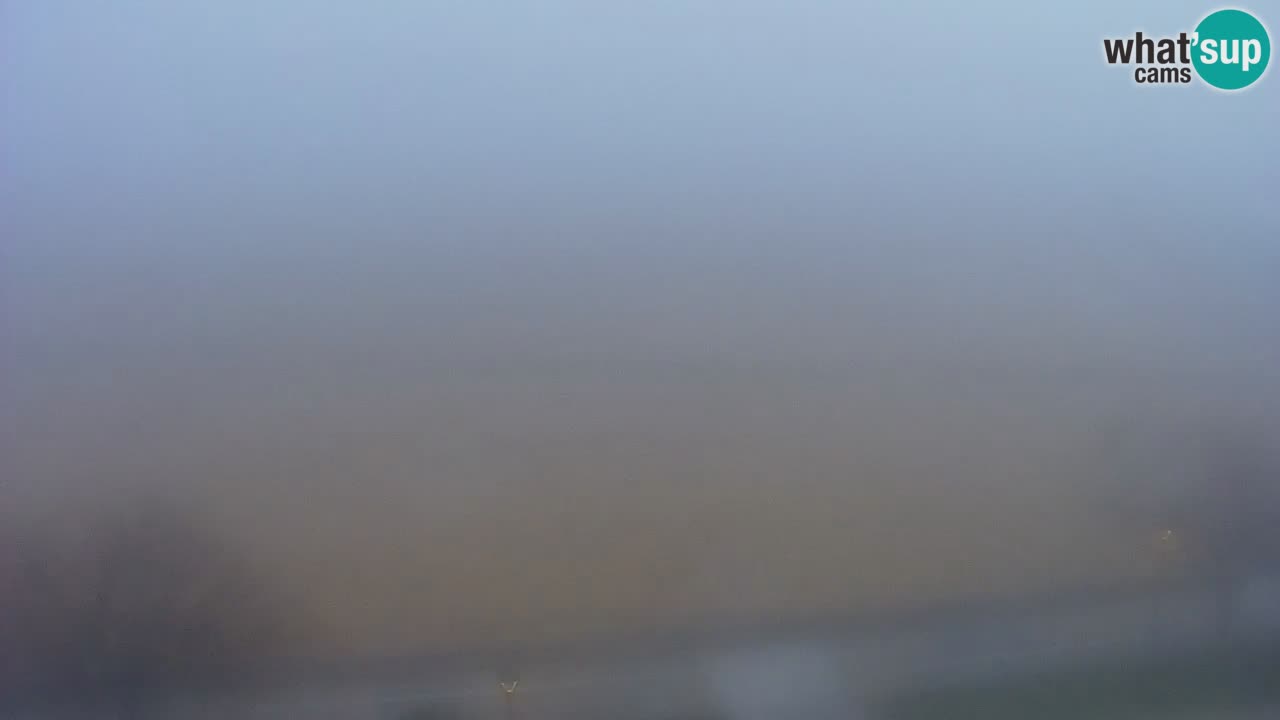 Webcam en vivo playa Bibione – vista desde Ashanti ApartHotel