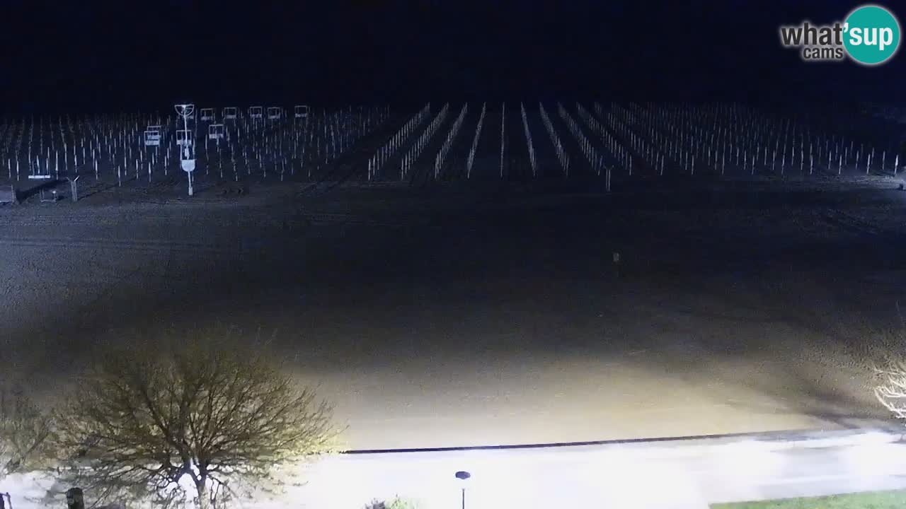 Webcam en vivo playa Bibione – vista desde Ashanti ApartHotel