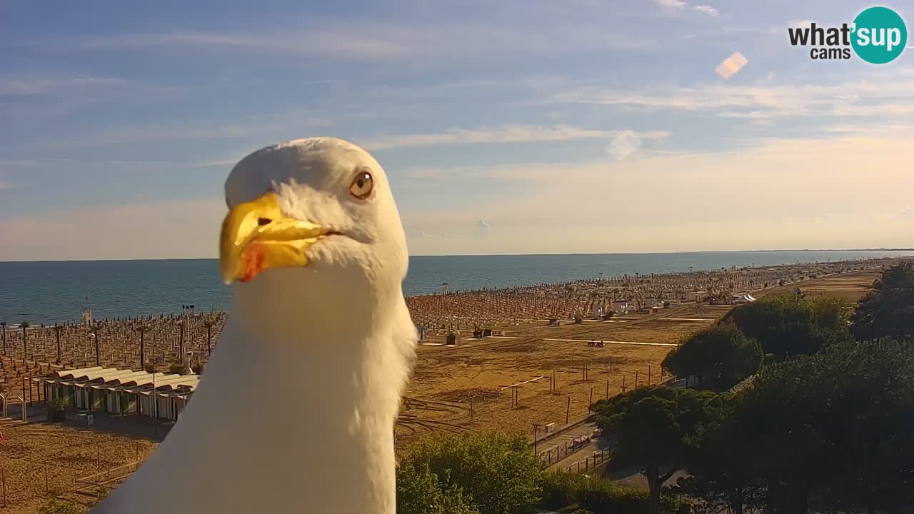 Web kamera Bibione plaža – pogled sa Ashanti ApartHotela