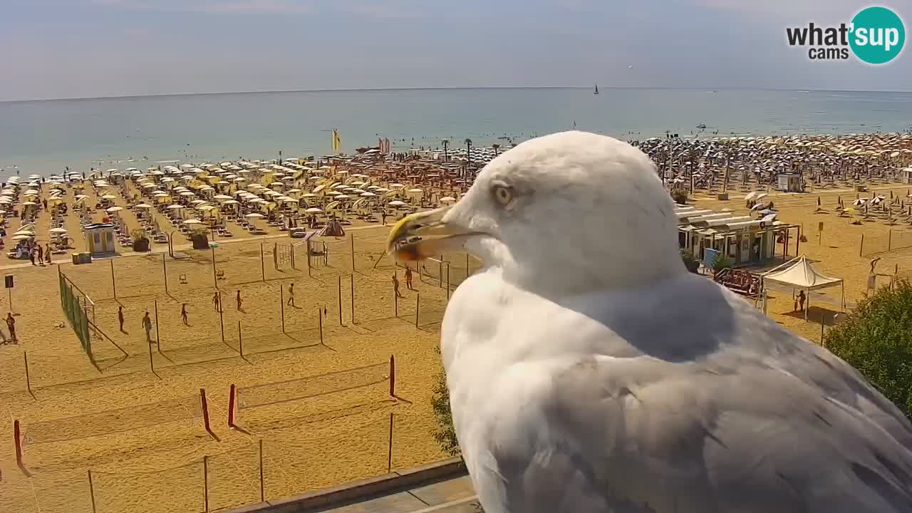 Web kamera Bibione plaža – pogled sa Ashanti ApartHotela