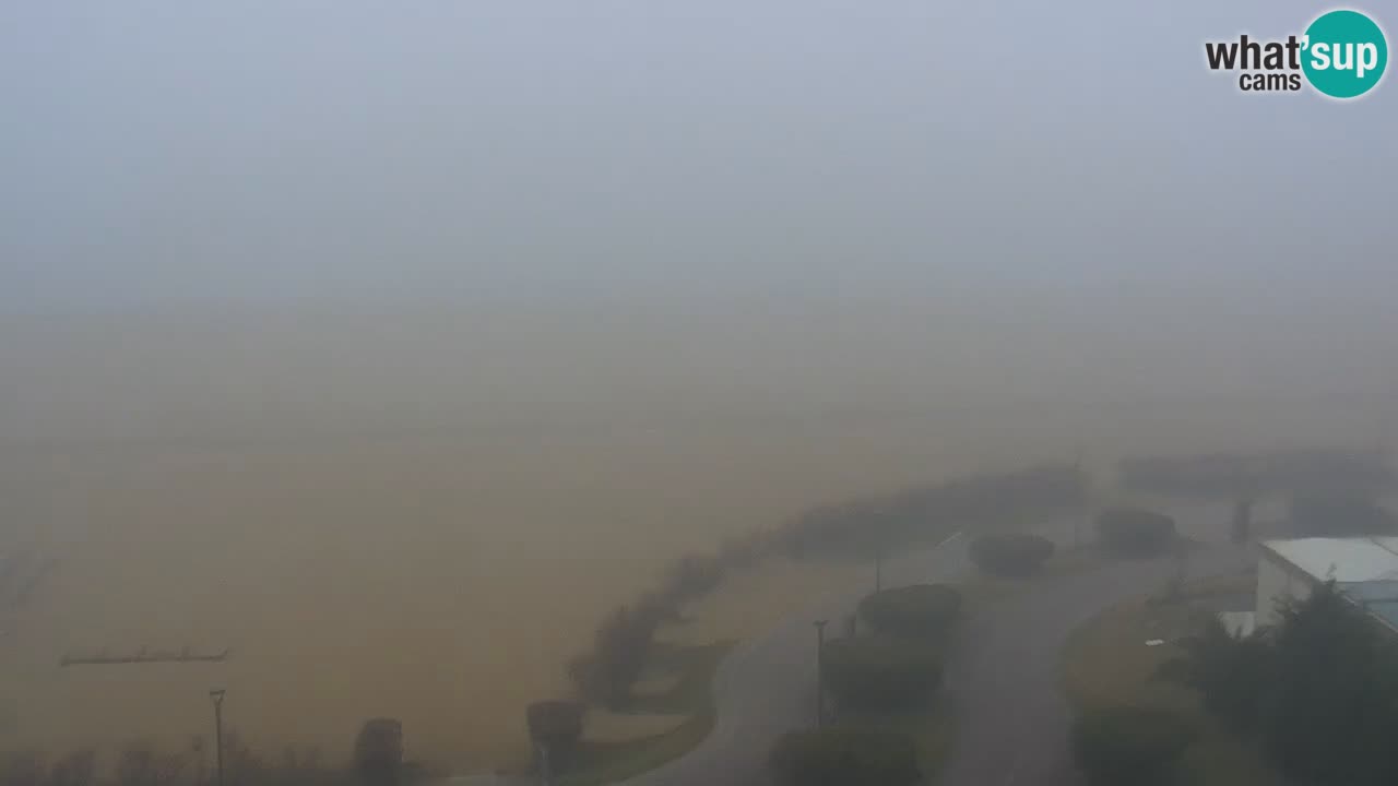 La spiaggia di Bibione webcam live e piazzale Zenit