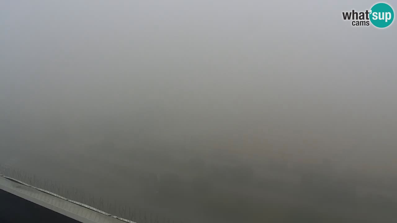 La spiaggia di Bibione webcam live e piazzale Zenit