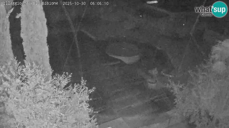 Villaggio Mare Blu Pool LIVE-Webcam Bibione Pineda – Italien