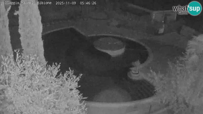 Piscina Villaggio Mare Blu webcam LIVE Bibione Pineda – Italia