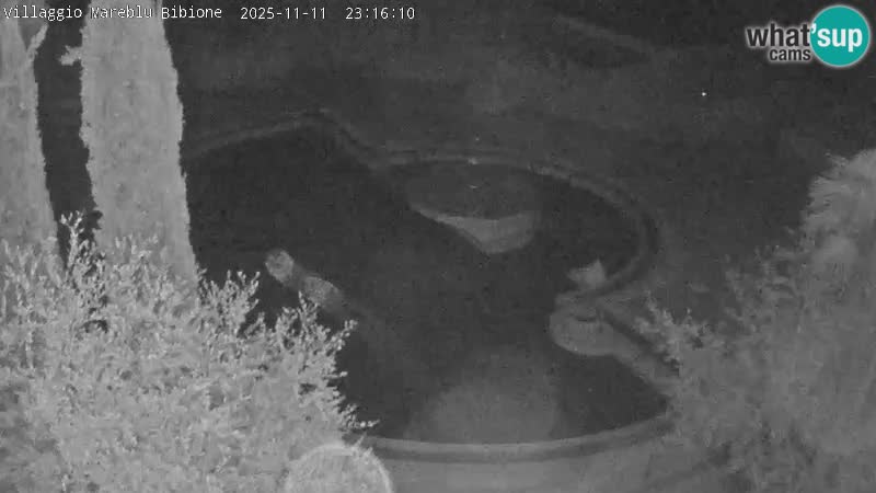 Villaggio Mare Blu Pool LIVE-Webcam Bibione Pineda – Italien