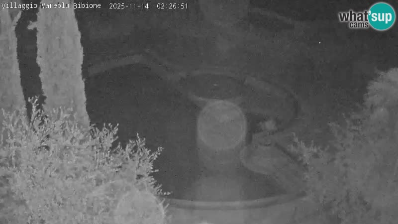 Piscina Villaggio Mare Blu webcam LIVE Bibione Pineda – Italia