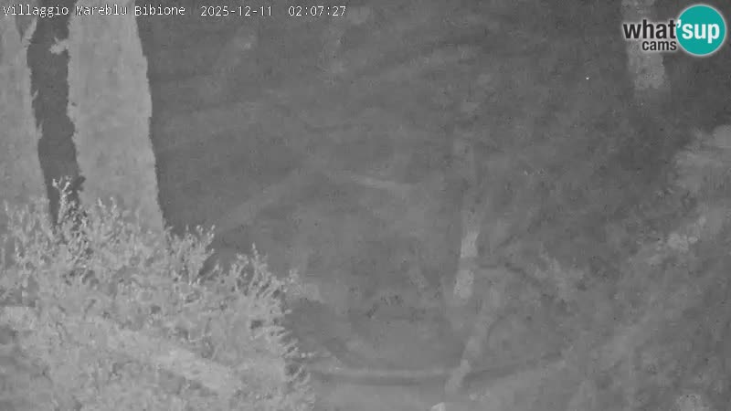 Villaggio Mare Blu Pool LIVE-Webcam Bibione Pineda – Italien