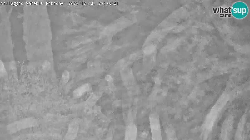 Villaggio Mare Blu bazen UŽIVO web kamera Bibione Pineda – Italija