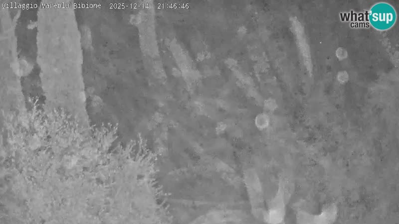 Villaggio Mare Blu bazen Spletna kamera V živo Bibione Pineda – Italija