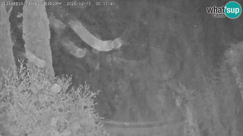 Piscina Villaggio Mare Blu webcam LIVE Bibione Pineda – Italia