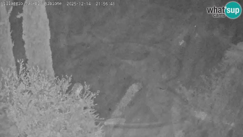 Piscina Villaggio Mare Blu webcam LIVE Bibione Pineda – Italia