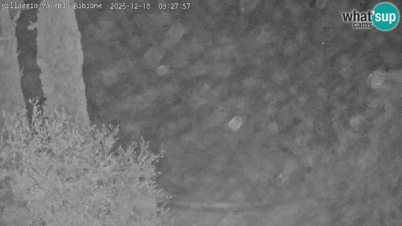Villaggio Mare Blu bazen Spletna kamera V živo Bibione Pineda – Italija