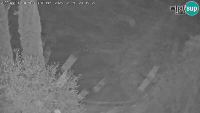 Villaggio Mare Blu Pool LIVE-Webcam Bibione Pineda – Italien