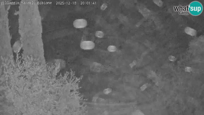 Villaggio Mare Blu bazen Spletna kamera V živo Bibione Pineda – Italija