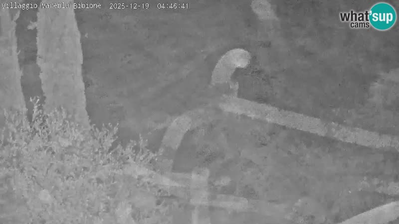 Piscina Villaggio Mare Blu EN VIVO webcam Bibione Pineda – Italia
