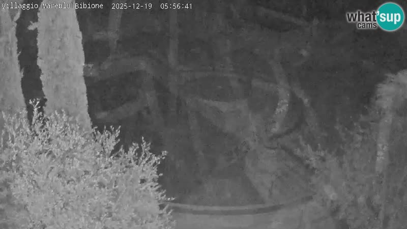 Villaggio Mare Blu Pool LIVE-Webcam Bibione Pineda – Italien