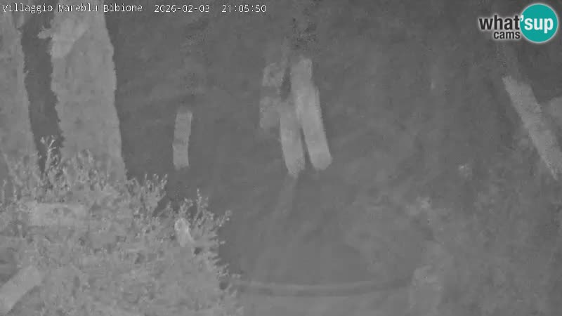 Piscina Villaggio Mare Blu EN VIVO webcam Bibione Pineda – Italia