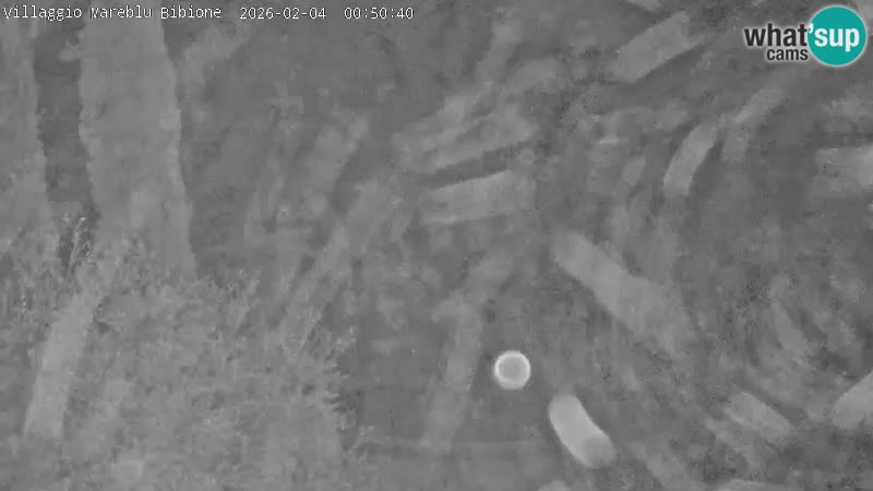 Villaggio Mare Blu bazen Spletna kamera V živo Bibione Pineda – Italija