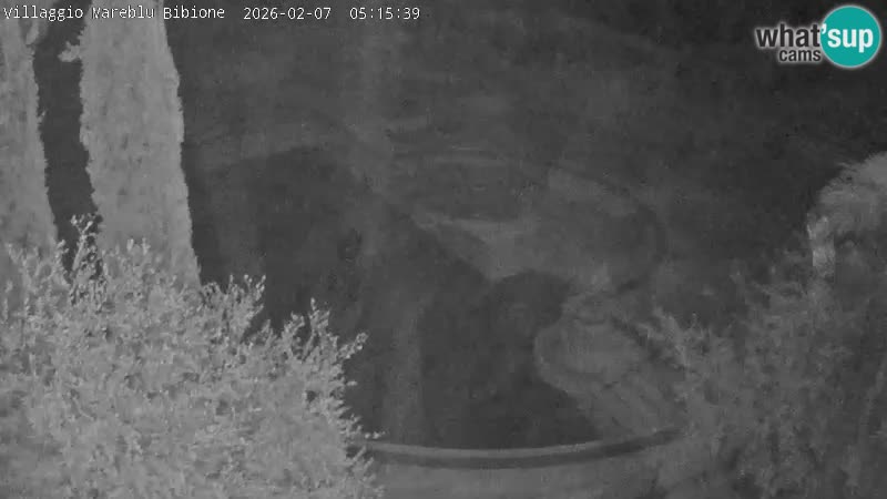 Villaggio Mare Blu bazen Spletna kamera V živo Bibione Pineda – Italija