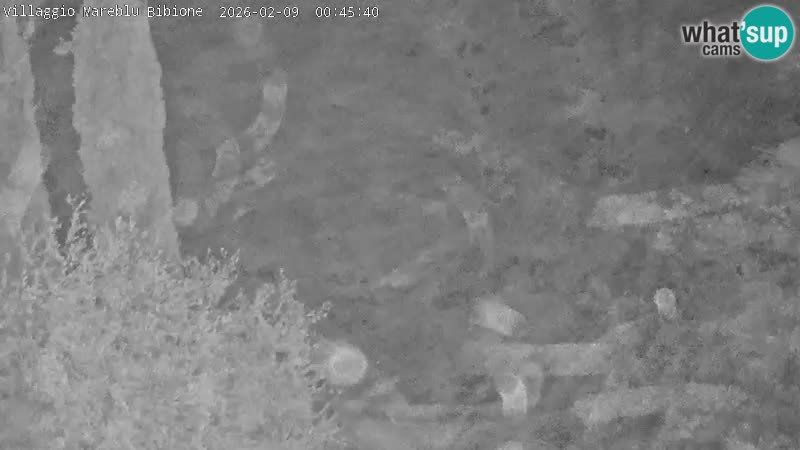 Villaggio Mare Blu piscine LIVE webcam Bibione Pineda – Italie