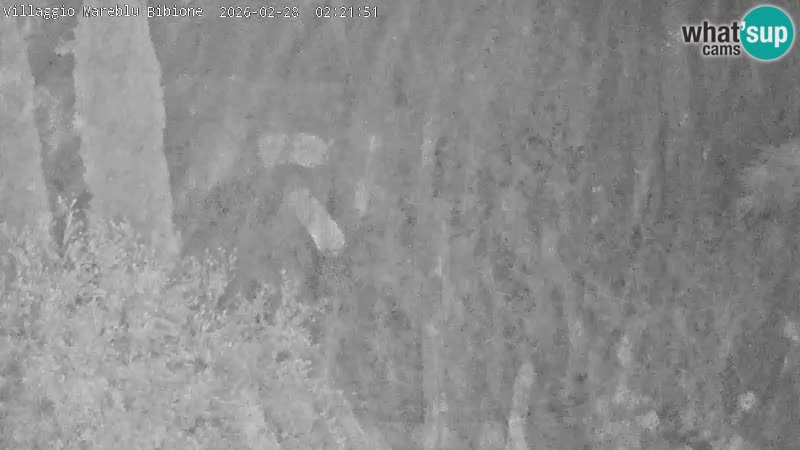 Piscina Villaggio Mare Blu webcam LIVE Bibione Pineda – Italia