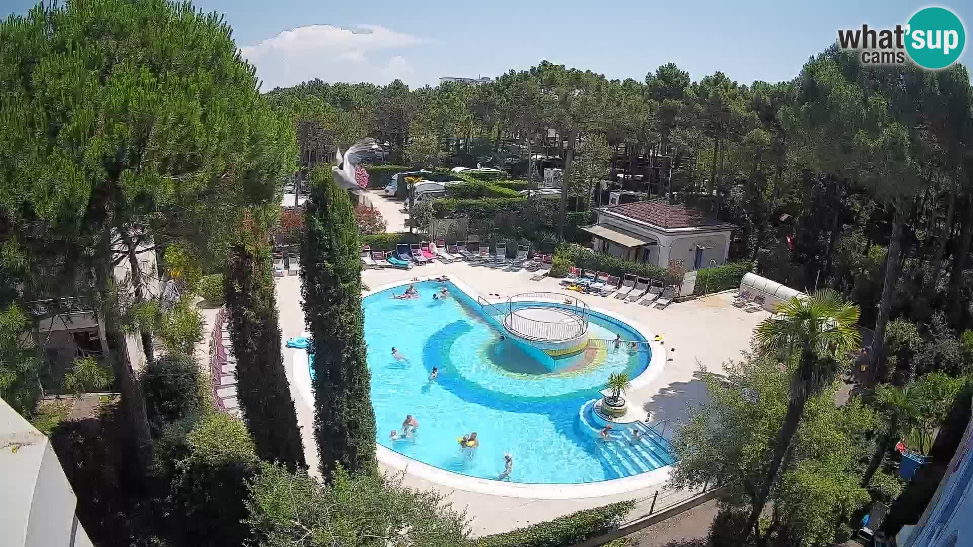 Piscina Villaggio Mare Blu EN VIVO webcam Bibione Pineda – Italia