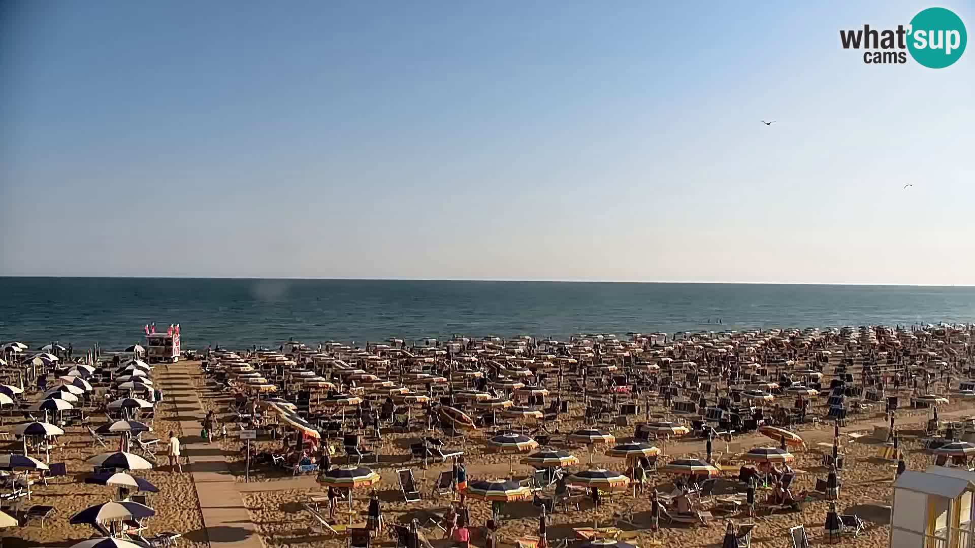 Webcam Bibione beach