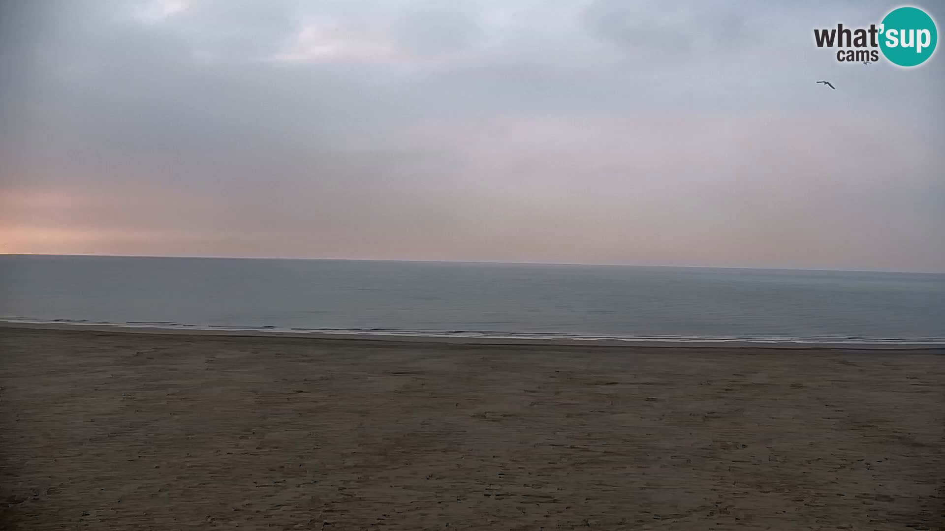 Web kamera plaže Bibione – Zenith