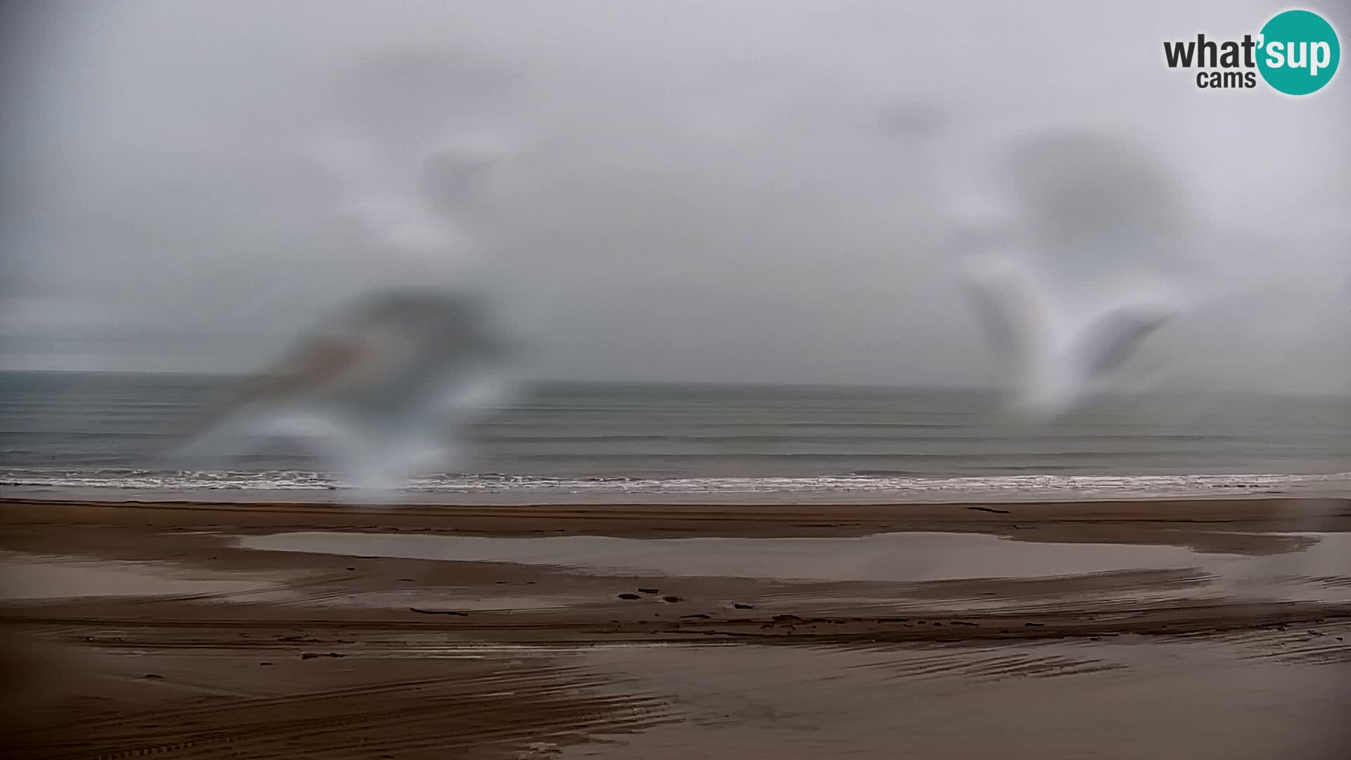 La cámara web de la playa de Bibione – Zenith
