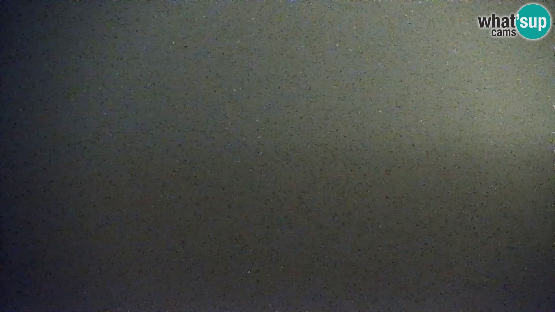 Live Cam Bibione beach