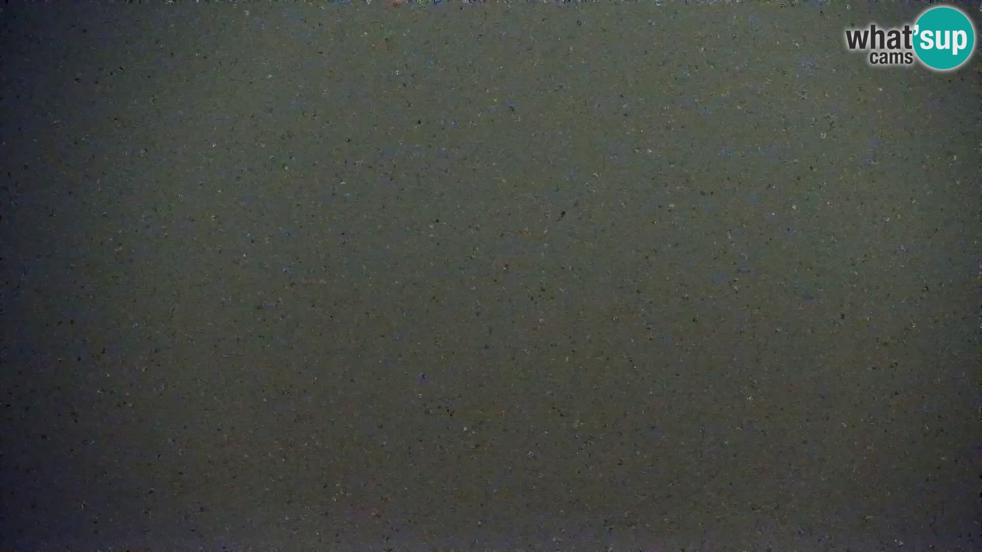 Live Cam Bibione beach