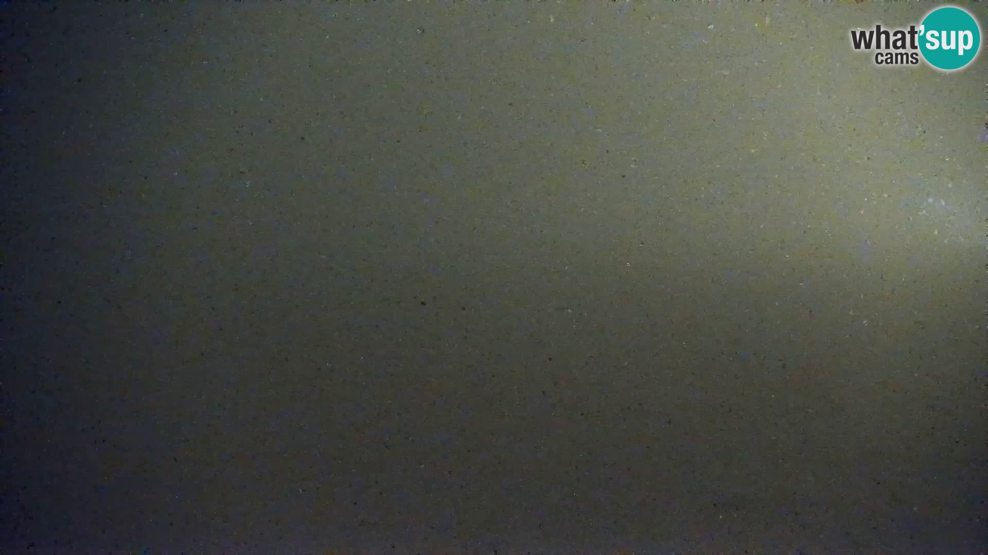 Live Cam Bibione beach