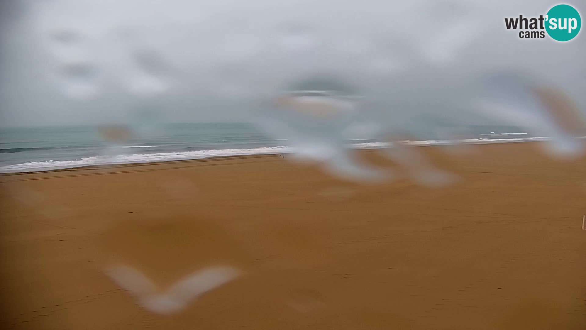 Live Cam Bibione beach