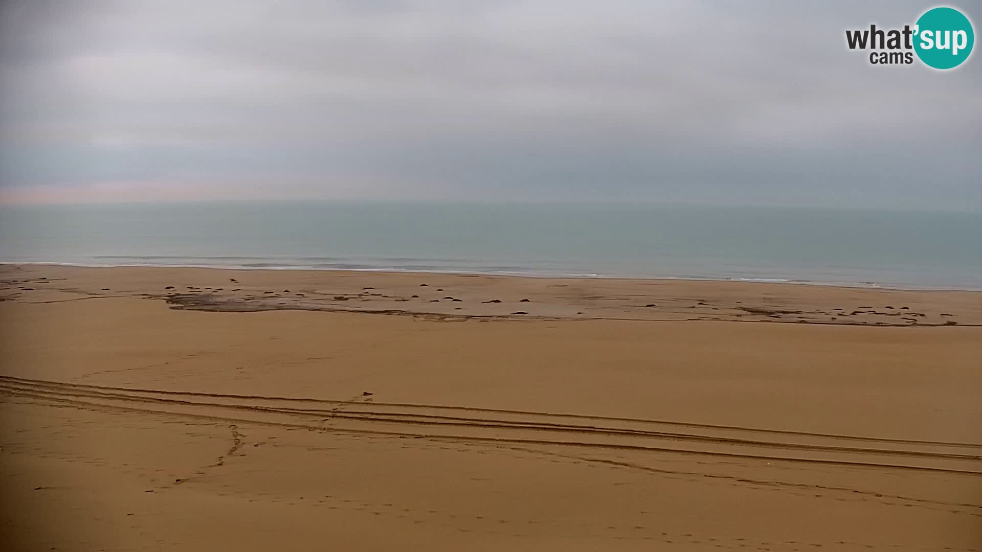 Spiaggia Bibione Live Cam