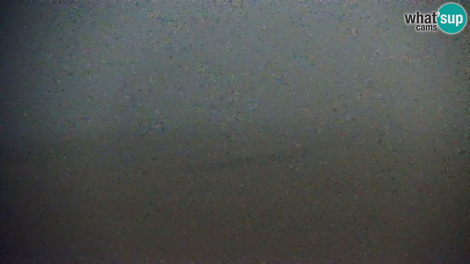 Live Cam Bibione beach