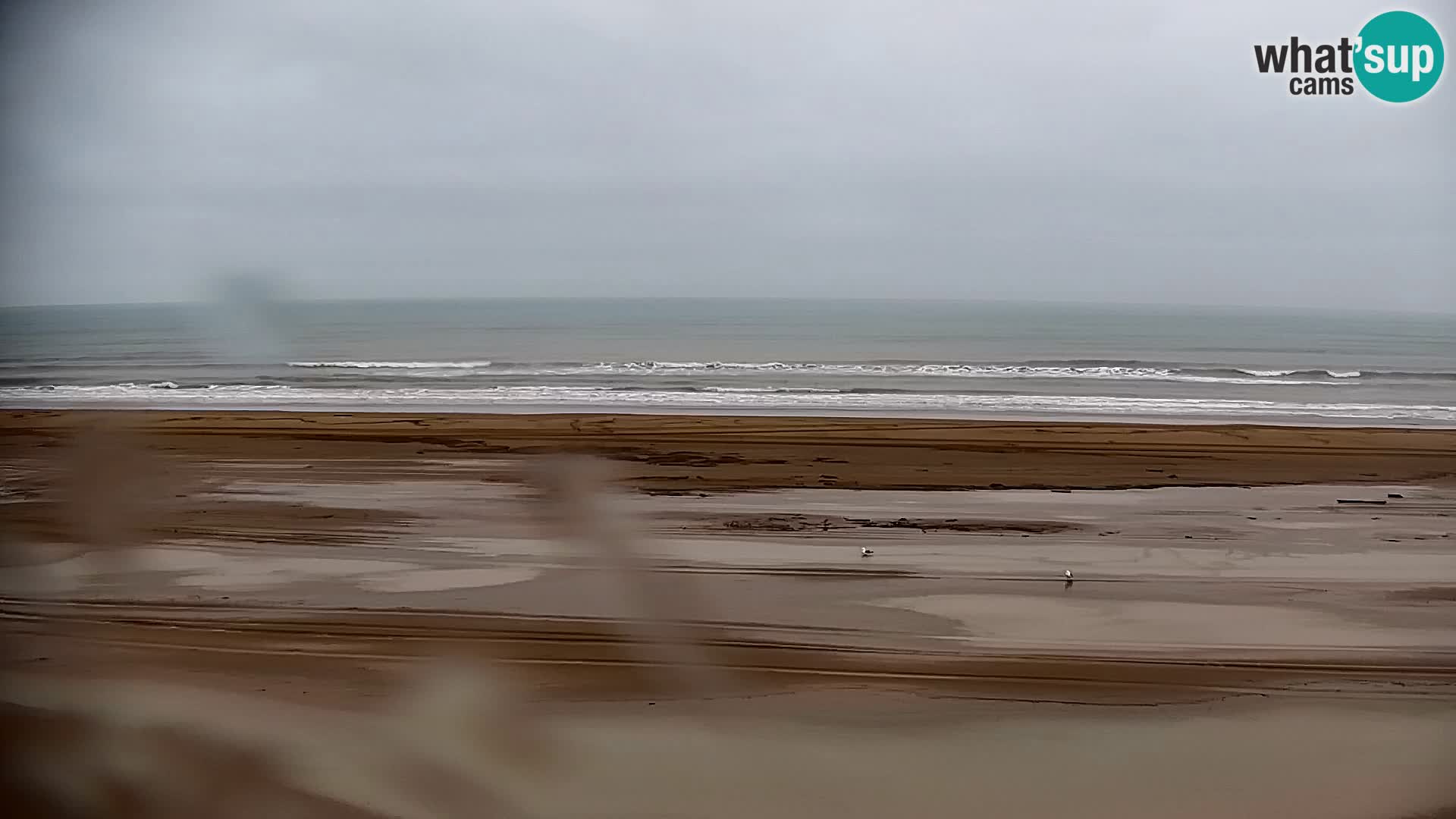 Live Cam Bibione beach