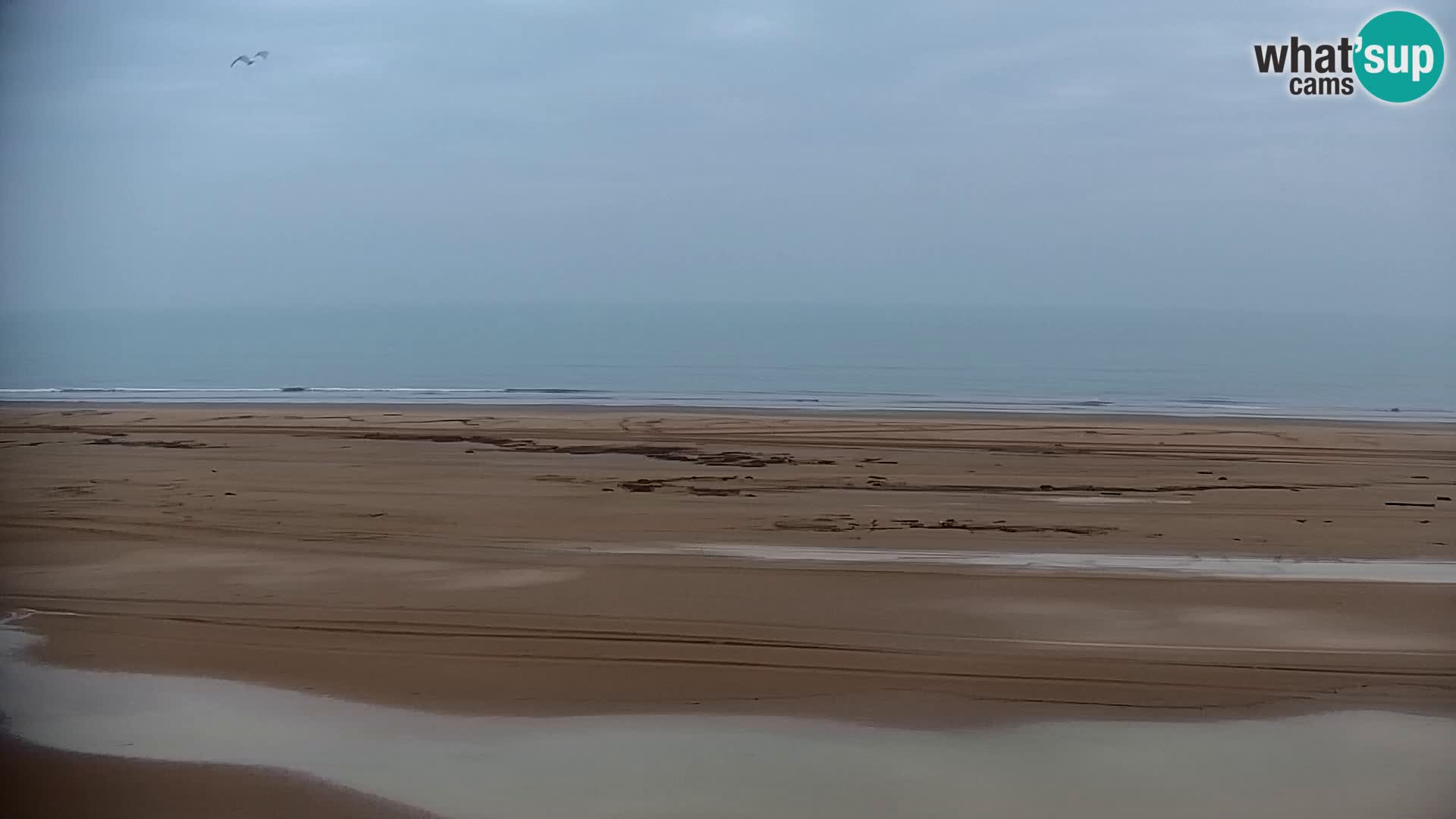 La plage de Bibione webcam en direct | Italien