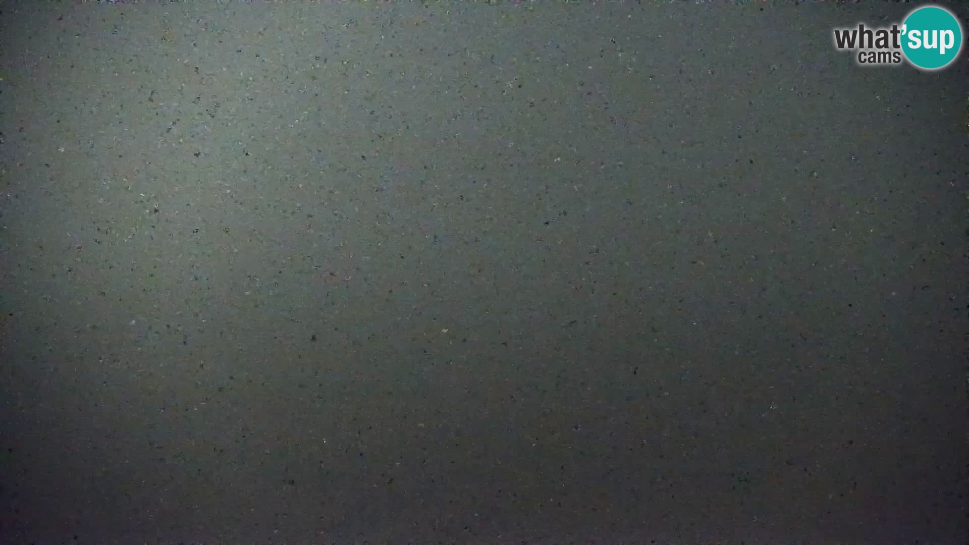 Live Cam Bibione beach