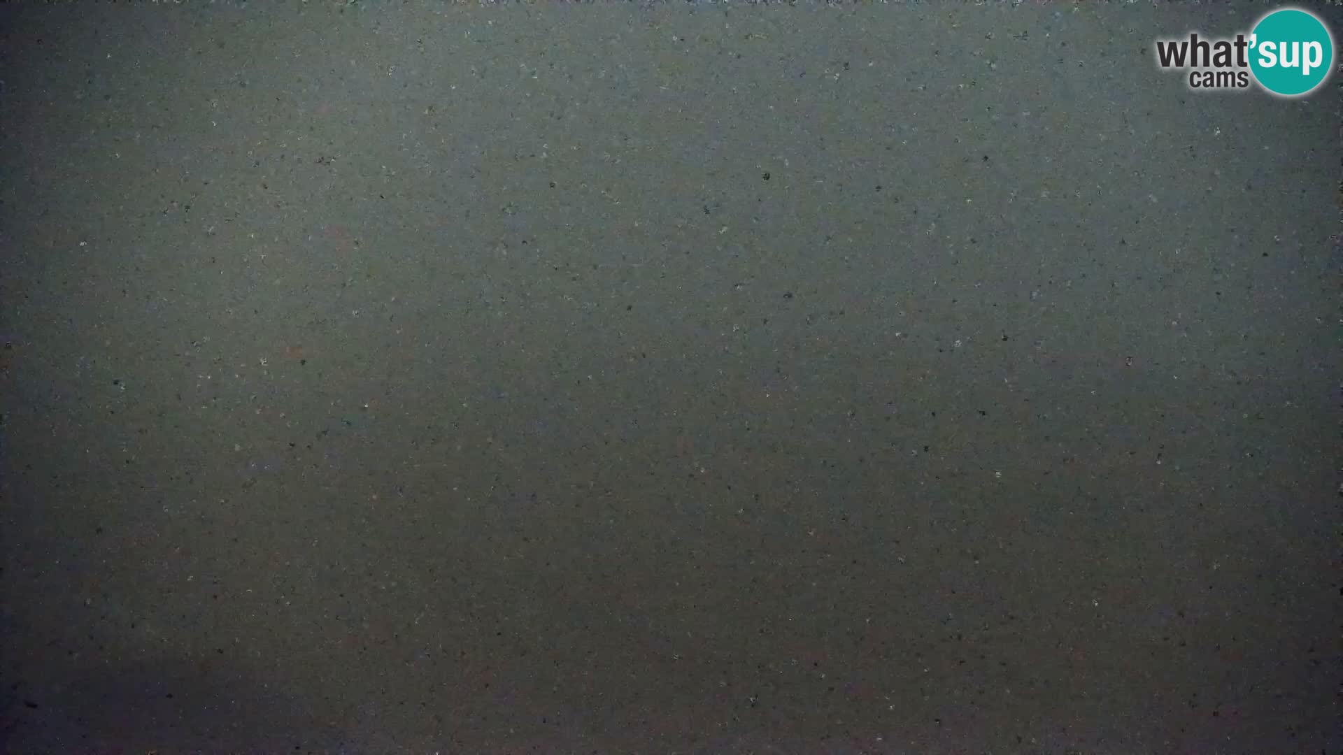 Playa Bibione Cámara en vivo | Italia