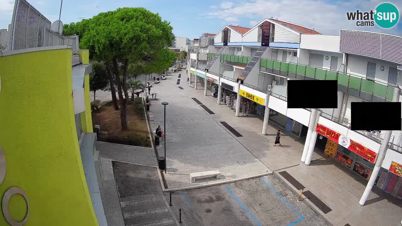 Webcam Rue Commerçante de Bibione – Vue en direct