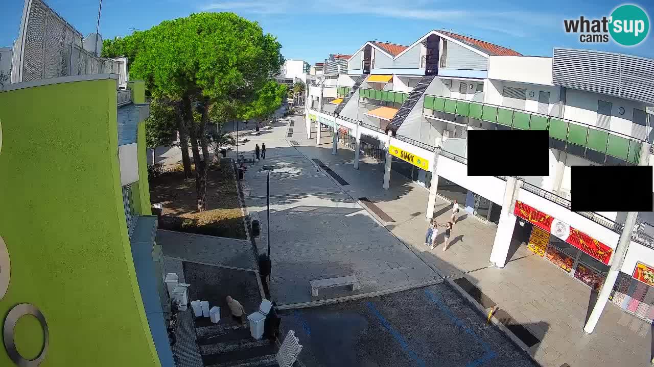 Bibione Shopping Street Webcam – Live View