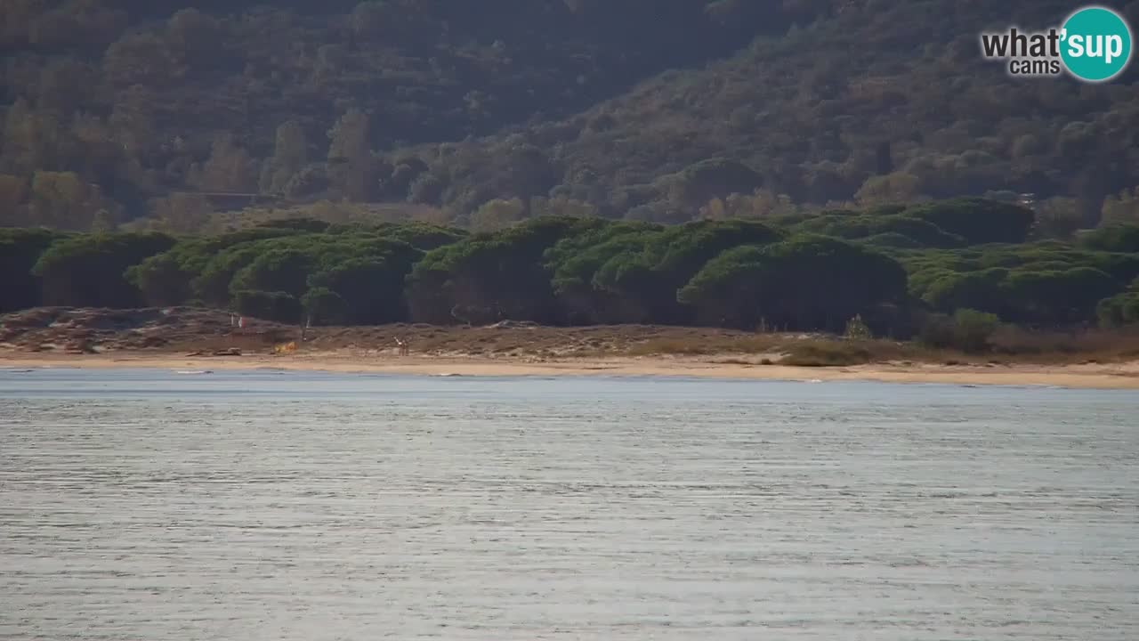 Spletna kamera v živo Plaža La Caletta – Budoni – Sardinija – Italija