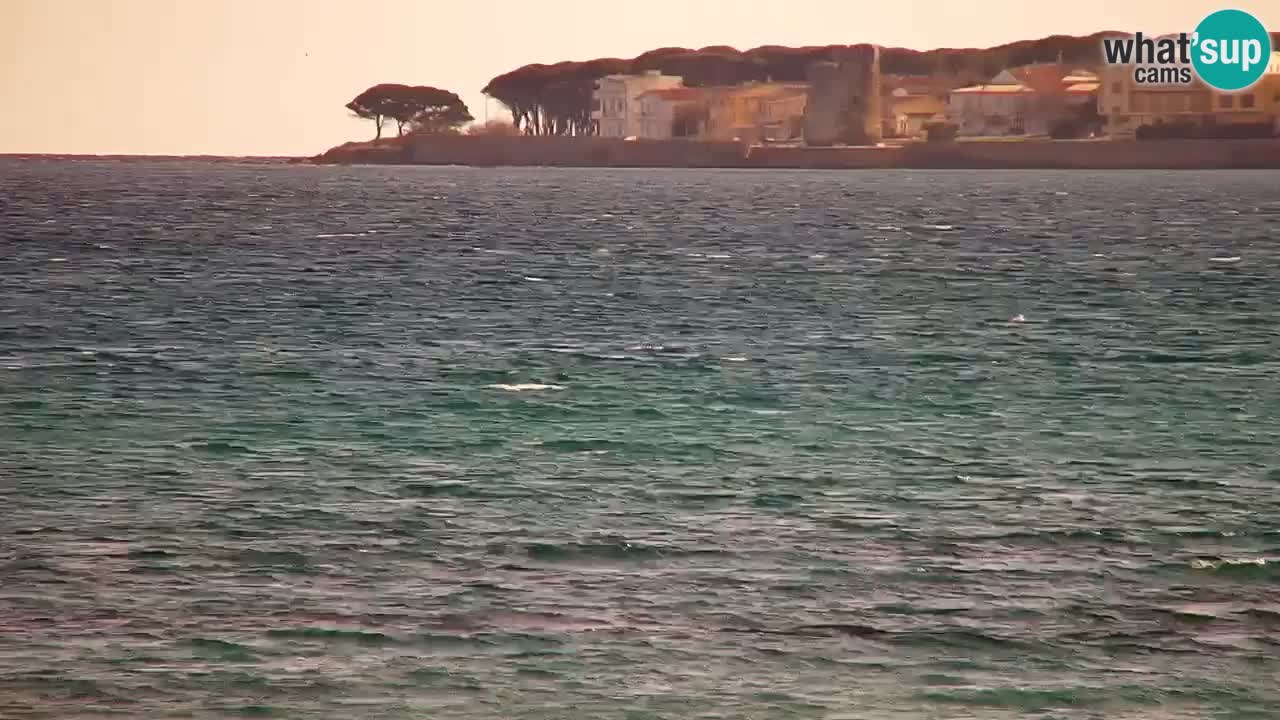 Webcam en vivo Playa La Caletta – Budoni – Cerdeña – Italia