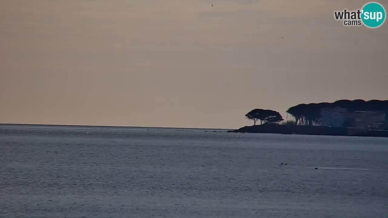 Webcam en vivo Playa La Caletta – Budoni – Cerdeña – Italia