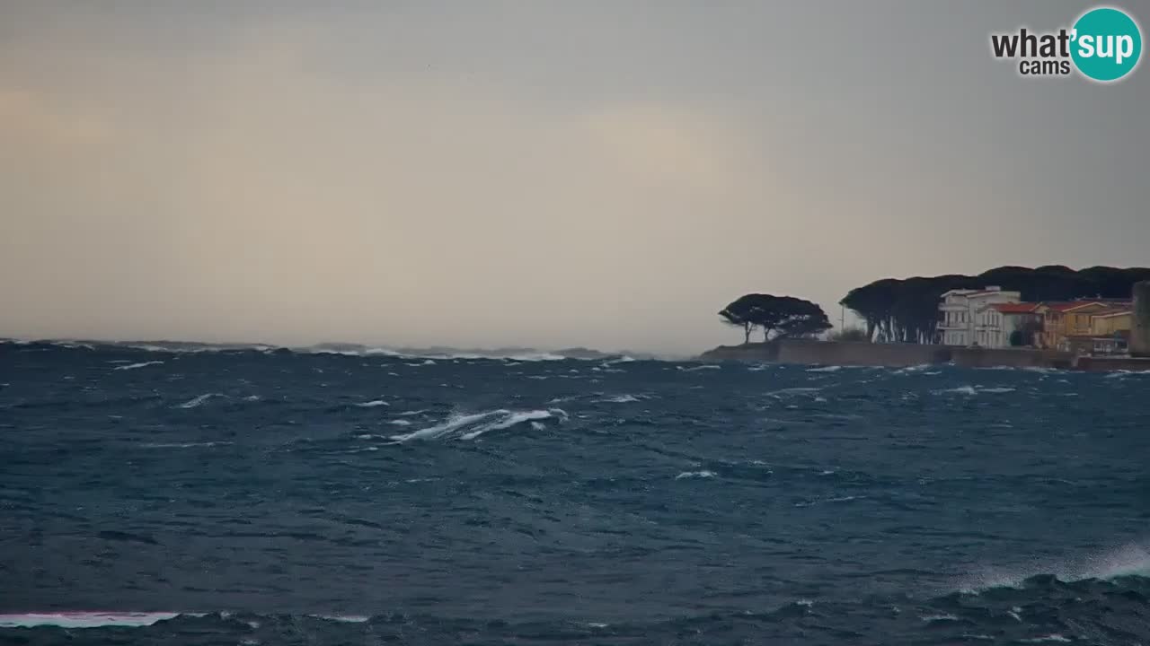 Webcam en vivo Playa La Caletta – Budoni – Cerdeña – Italia