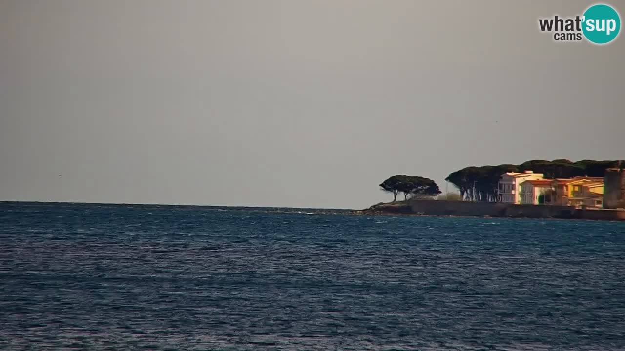 Webcam en vivo Playa La Caletta – Budoni – Cerdeña – Italia