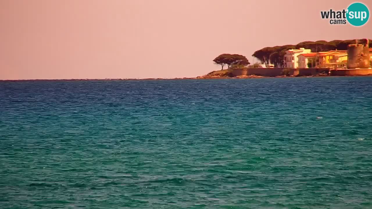 Webcam en vivo Playa La Caletta – Budoni – Cerdeña – Italia