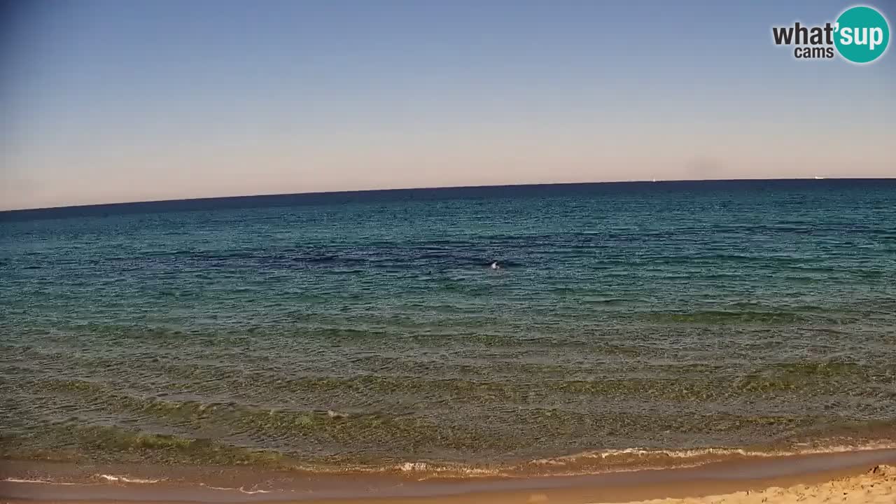 Webcam en vivo Playa La Caletta – Budoni – Cerdeña – Italia